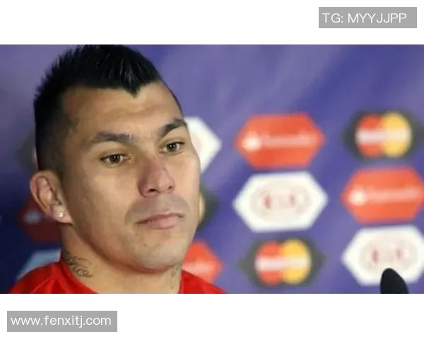 智利足球明星梅德尔的辉煌职业生涯与对国家队的贡献分析